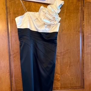 Adrianna Papell size 10 satin dress. It has been dry cleaned and is ready to go!